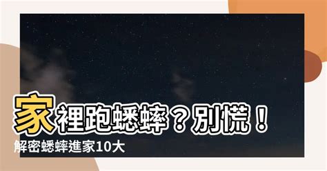 家裡跑蟋蟀|【蟋蟀跑進家裡】蟋蟀跑進家裡，預示著什麼？徵兆如何破解？